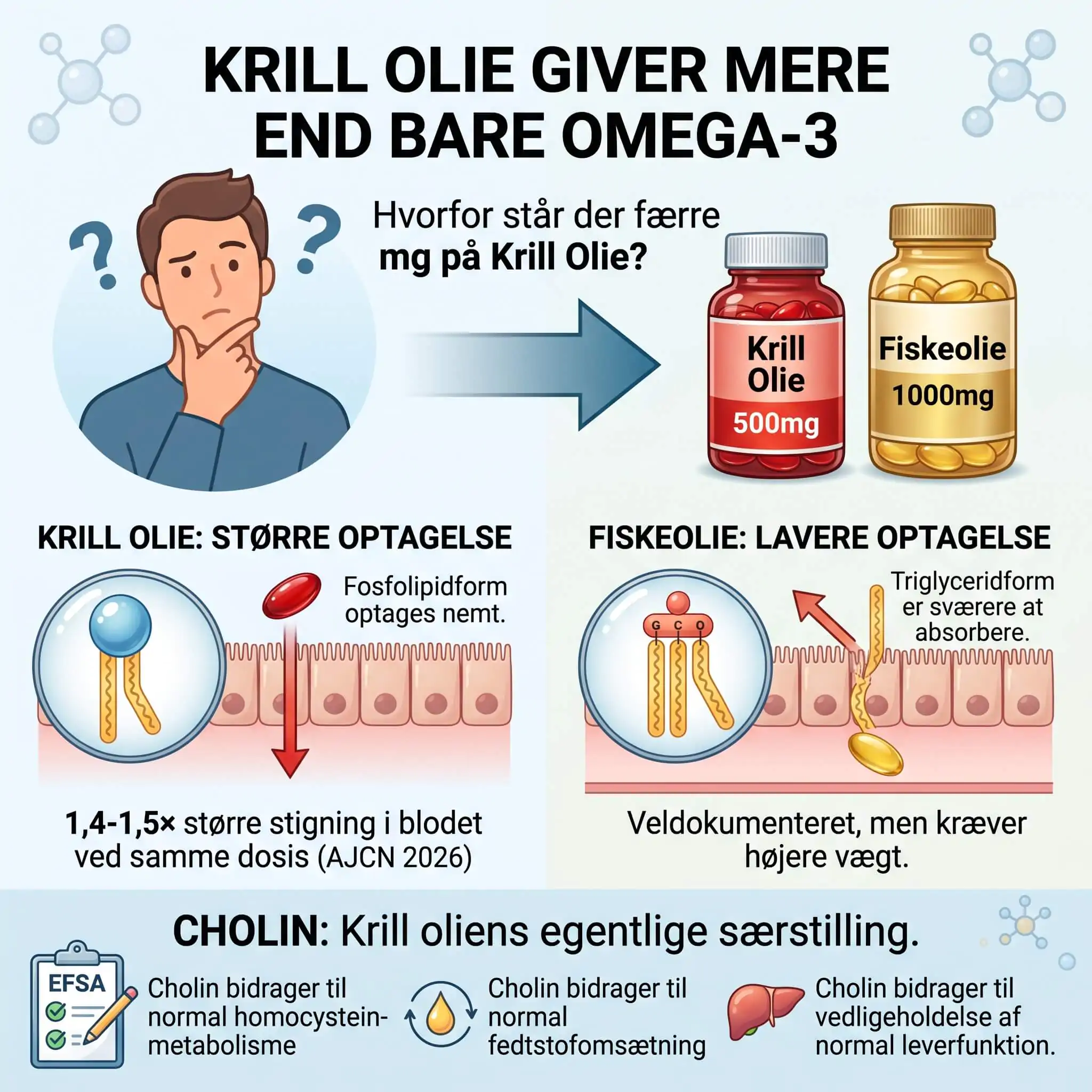 Krill olie vs. fiskeolie: Hvad er bedst i 2026?